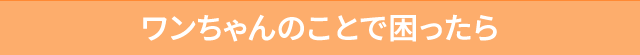 ワンちゃんのことで困ったら